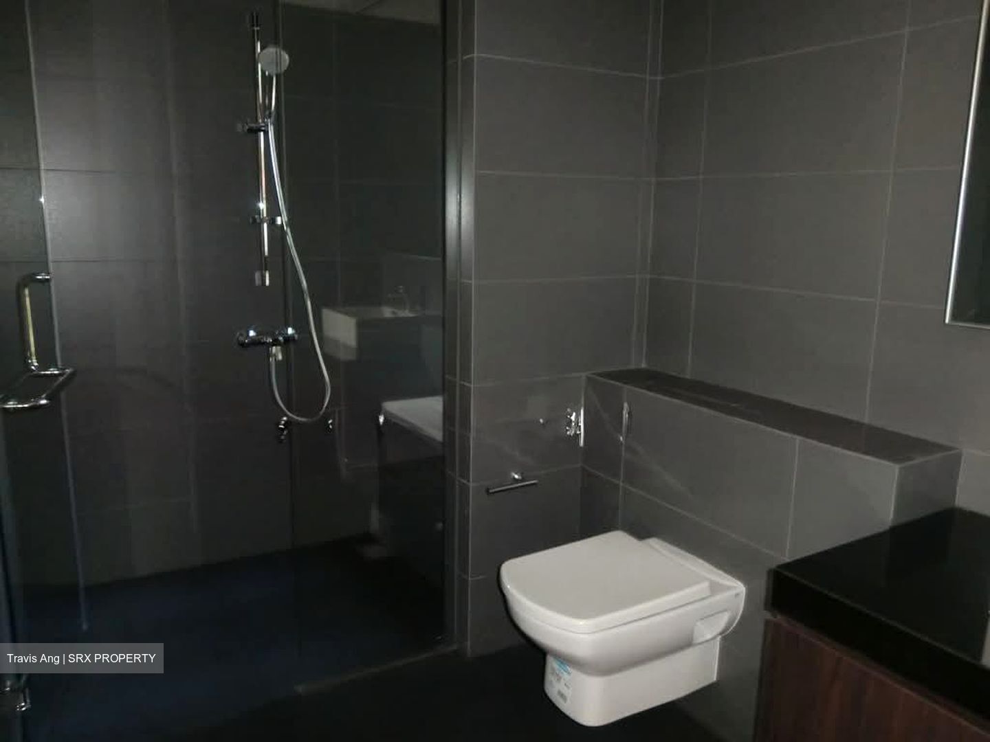 Meadows @ Peirce (D26), Condominium #554112041